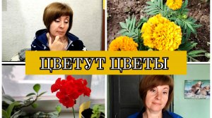 18-06-2025 ВСЕ ЦВЕТЫ ЗАЦВЕЛИ🌺ОТВЕЧАЮ НА КОММЕНТАРИИ🙂ИВАН ТАНЦУЕТ😁