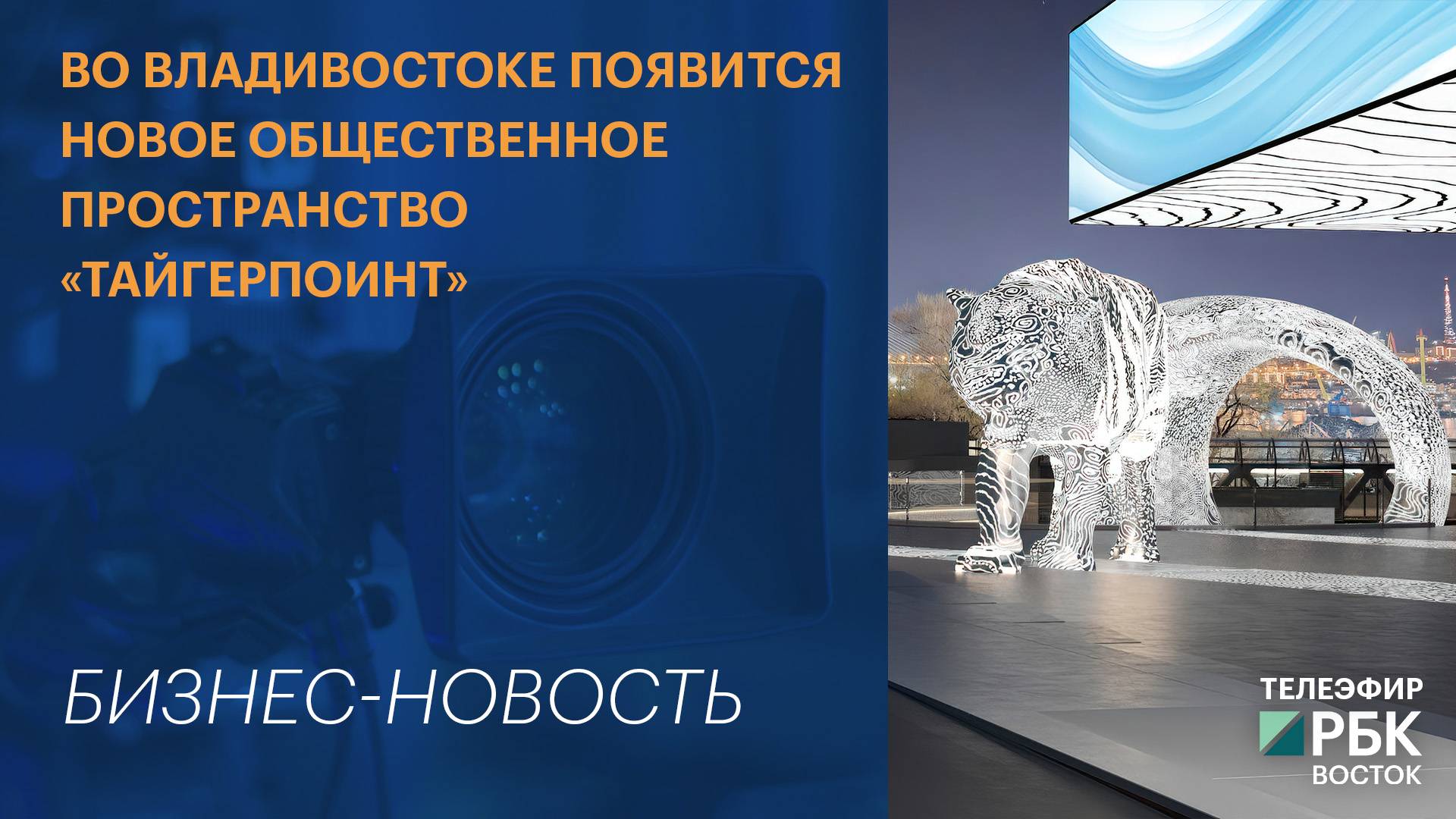 Во Владивостоке появится новое общественное пространство «ТайгерПоинт» | Бизнес-новость