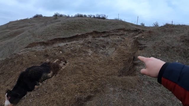 Корова увязла в оползне и погибла. опасная природа.