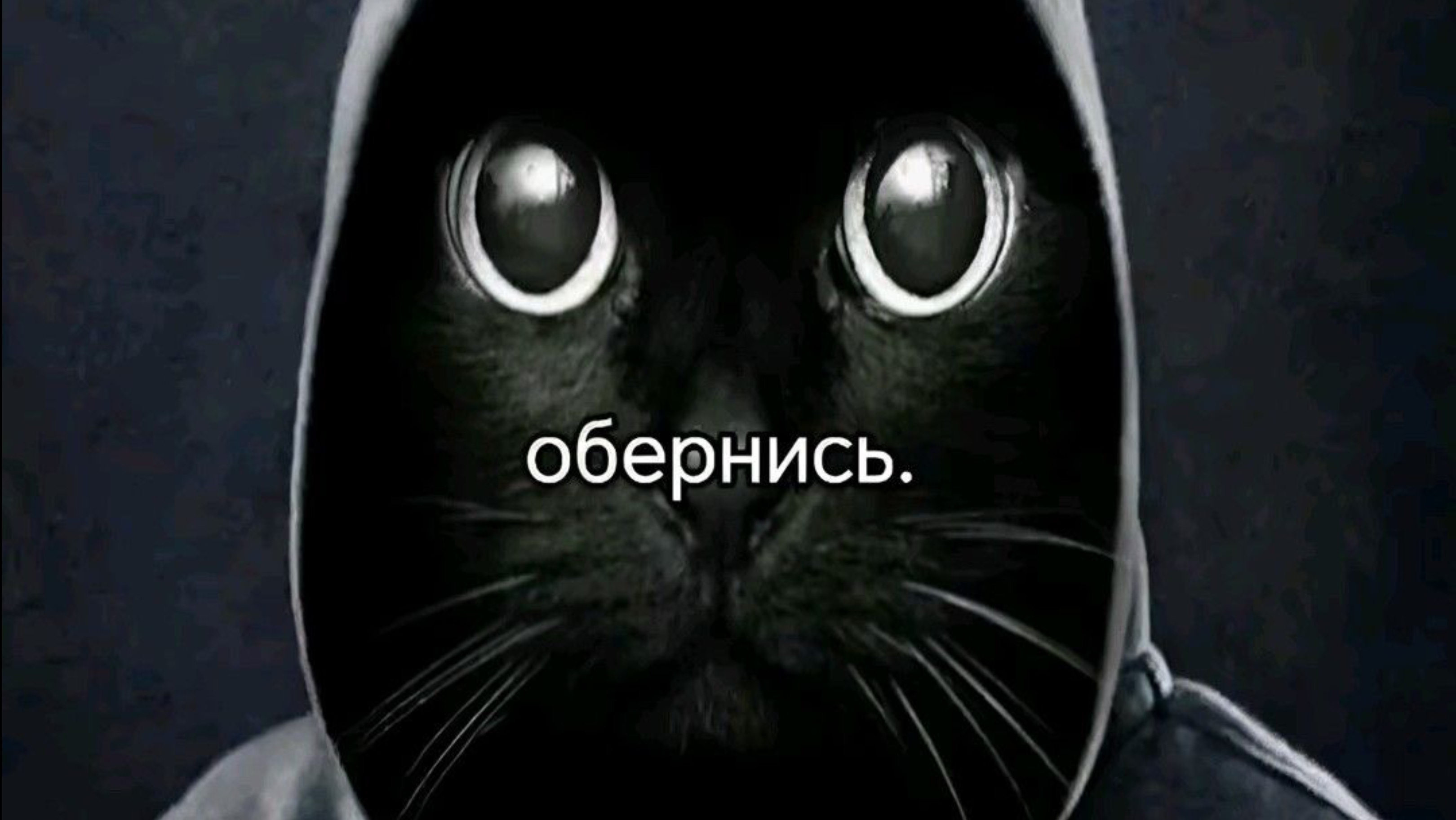 Как мы играем в игру Кошачьи царапины 🖤