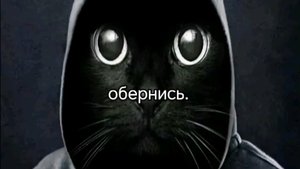 Как мы играем в игру Кошачьи царапины 🖤