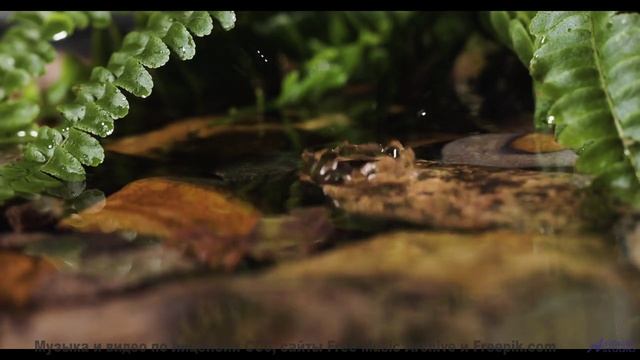 Музыка превращает видео в личный полёт - Pay-in-Installments -- Ketsa -- Reflective Processes