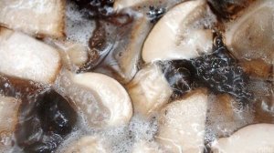 Грибной суп из белых грибов