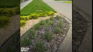 Продажа резиденций в КП Онегин парк с АН Гауди риелт. тел. 88007770154.