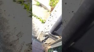 Дастер против анонимусов часть 2