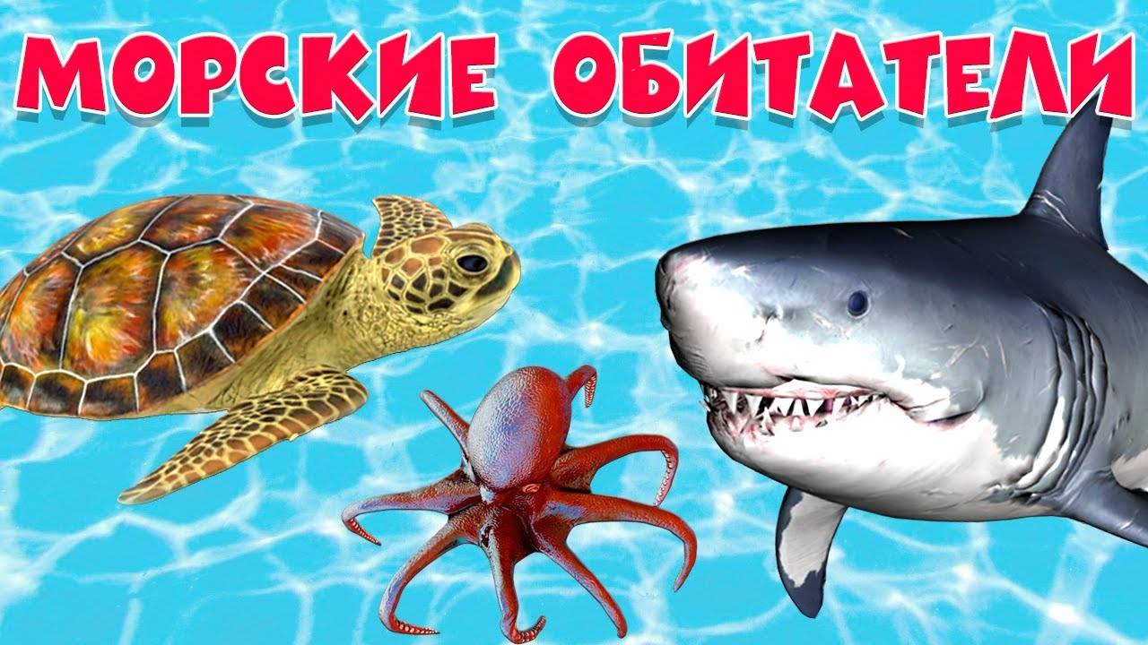 Обитатели морей и океанов 🐠 Развивающие мультики 🐟 Морские животные 🐬 Подводный мир