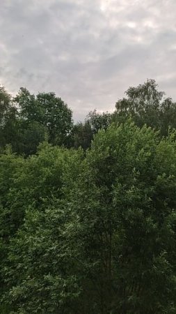 Боже, как птицы поют во дворе, Бабочка села на куст дикой розы! Так среди жизненной тягостной прозы