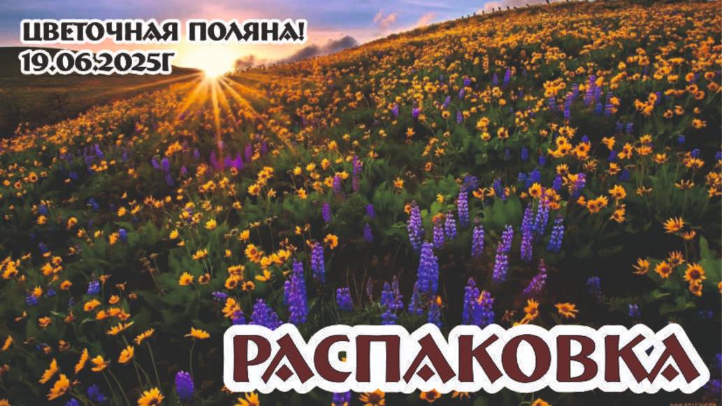 РАСПАКОВКА цветочной поляны! Изумительные предметы из стекла ГХЗ