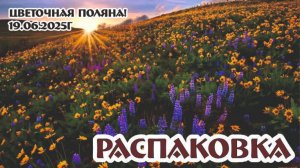 РАСПАКОВКА цветочной поляны! Изумительные предметы из стекла ГХЗ