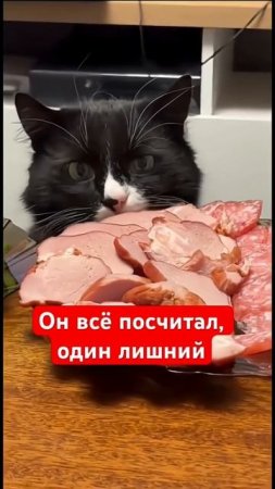 Обед на RUTUBE