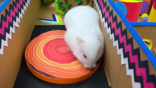 МУЛЬТИКИ ДЛЯ ДЕТЕЙ ХОМЯК НА ТРЕКЕ ИЗ ЛЕГО КУБИКОВ