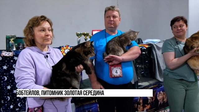 МЕЖДУНАРОДНАЯ ВЫСТАВКА КОШЕК "РОСКОШ В МАЕ"