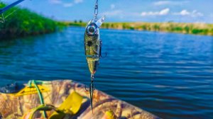 С ЭТИМ ВОБЛЕРОМ НЕ ОСТАНЕШЬСЯ БЕЗ РЫБЫ! Ловля щуки на спиннинг Рыбалка в июне 2025