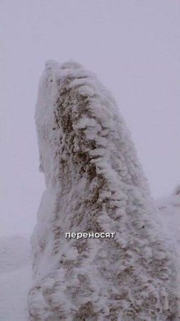 Микроорганизмы с космоса УНИЧТОЖАТ ЦИВИЛИЗАЦИЮ! Натан Эйсмонт✅Полный выпуск на канале "Глеб Соломин"