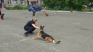 Собаки и кинологи "Симурана" побывали в Центре помощи детям