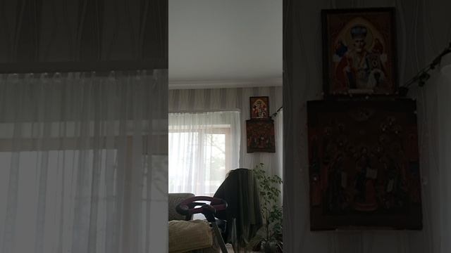 Видео с Ариной❤ и Софией смотреть онлайн