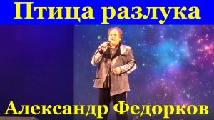 Песня Птица разлука Песни Александр Федорков