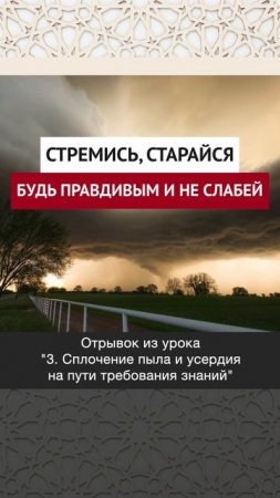 Стремись, старайся, будь правдивым и не слабей || Динар абу Идрис #ислам #факты #истина #вера #коран