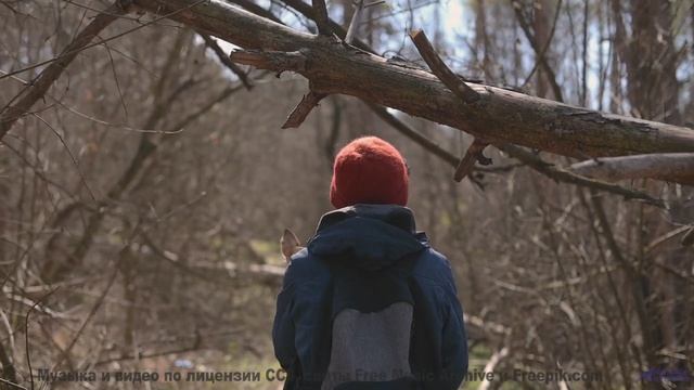 Этот клип заставит забыть обо всём на свете - TE DESPERTAI VIENDO EL TCM -- Compadre Locura -- A CUC