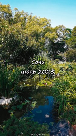Сочи. Июнь 2025