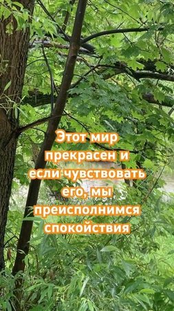 Этот мир