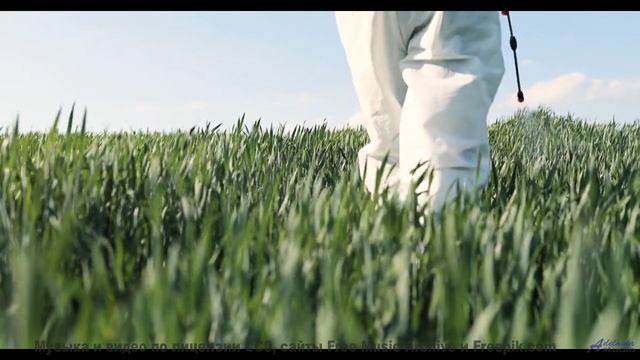 Хочется остановить время, пока звучит такая музыка - My Soul -- Mack Aroni -- Lowfi Spirit