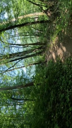 Downhill