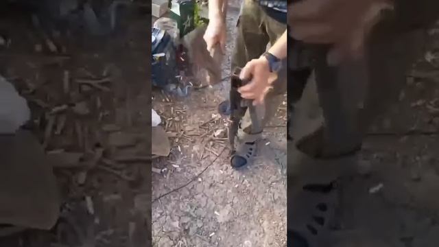 "КАЛАШ" – СОВСЕМ МЕРТВЫЙ, НО ЖИВОЙ!