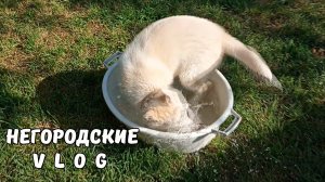 Водные процедуры Тумана. 07.06.25