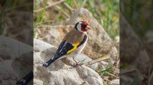 Это интересно-7