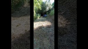 Порядок надо поддерживать. Португалия.
