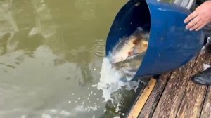 Парк отдыха водопад