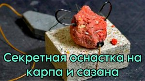 Как поймать САЗАНА и КАРПА на СЕКРЕТНУЮ ОСНАСТКУ