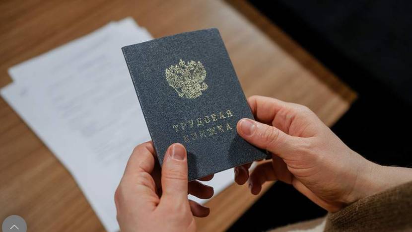 Эксперт назвала случаи обязательной оплаты тестовых заданий при трудоустройстве