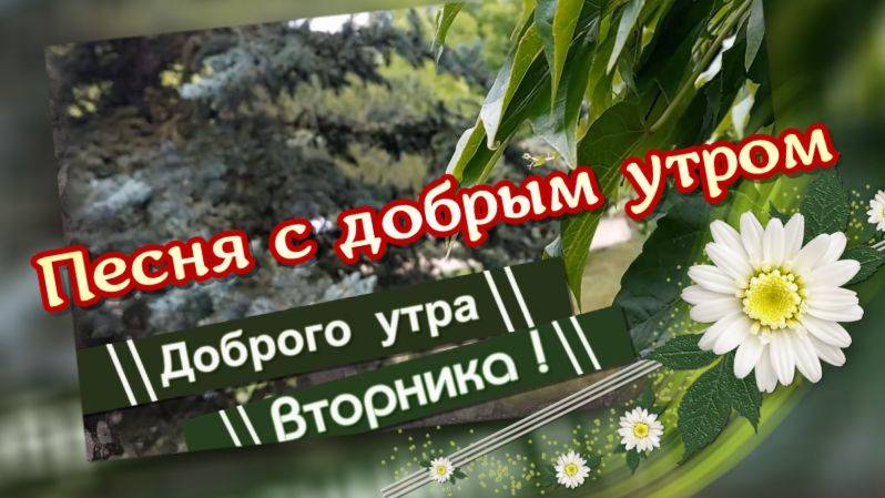 Доброго утра вторника