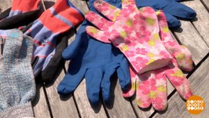 Садовые перчатки: меняем, как перчатки? Доброе утро. Фрагмент выпуска от 19.06.2025