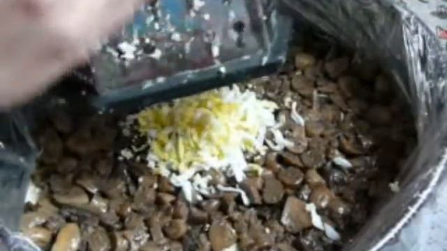 Слоеный салат с грибами на праздничный стол! Рецепт.
