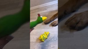 Интеллектуальный мальчик наш 😍
Все снято с первого дубля.