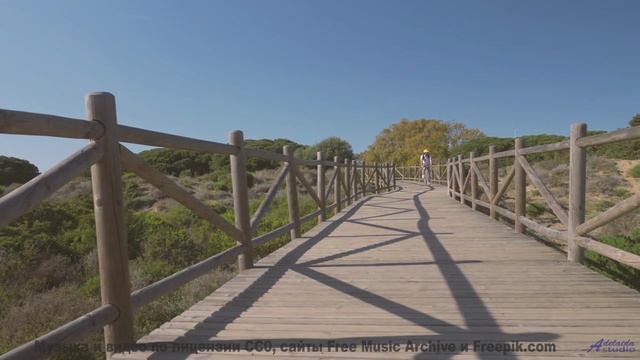 Леса шепчут мелодии прямо в сердце - Bonus -- Ketsa -- Summer With Sound