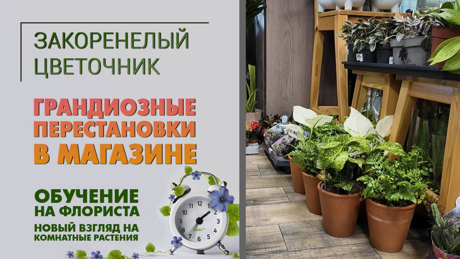 Грандиозные ПЕРЕСТАНОВКИ В МАГАЗИНЕ. Обучение на флориста и новый взгляд на комнатные растения.