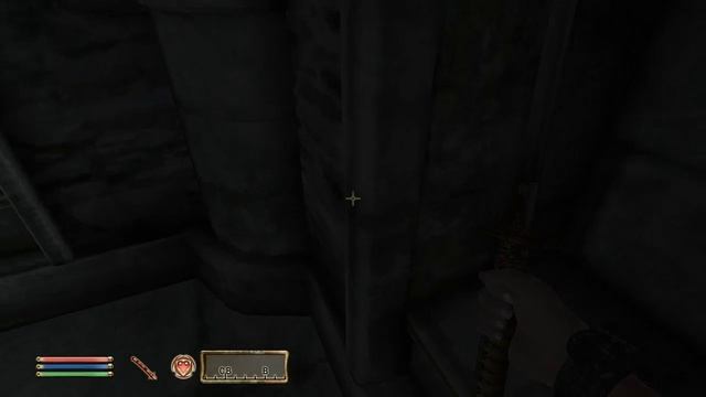The Elder Scrolls IV (МС) часть 1
