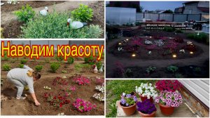 Светильники для огорода из Wildberries. Глобальная пересадка в кашпо. Наводим красоту.