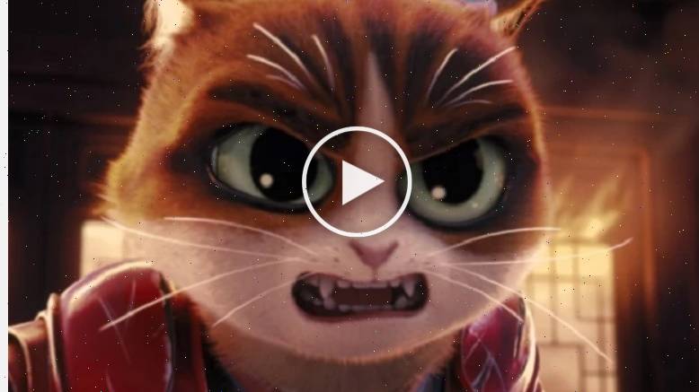 Кунг-фу кот (2024) __ 2025