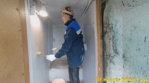7 соток. Дождь. Подвязываю помидоры, крашу туалет. Хроника 19 июня 2025 год