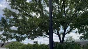 copy_F7E67E01-57AB-4FE6-B78C-0B4A6996E13D