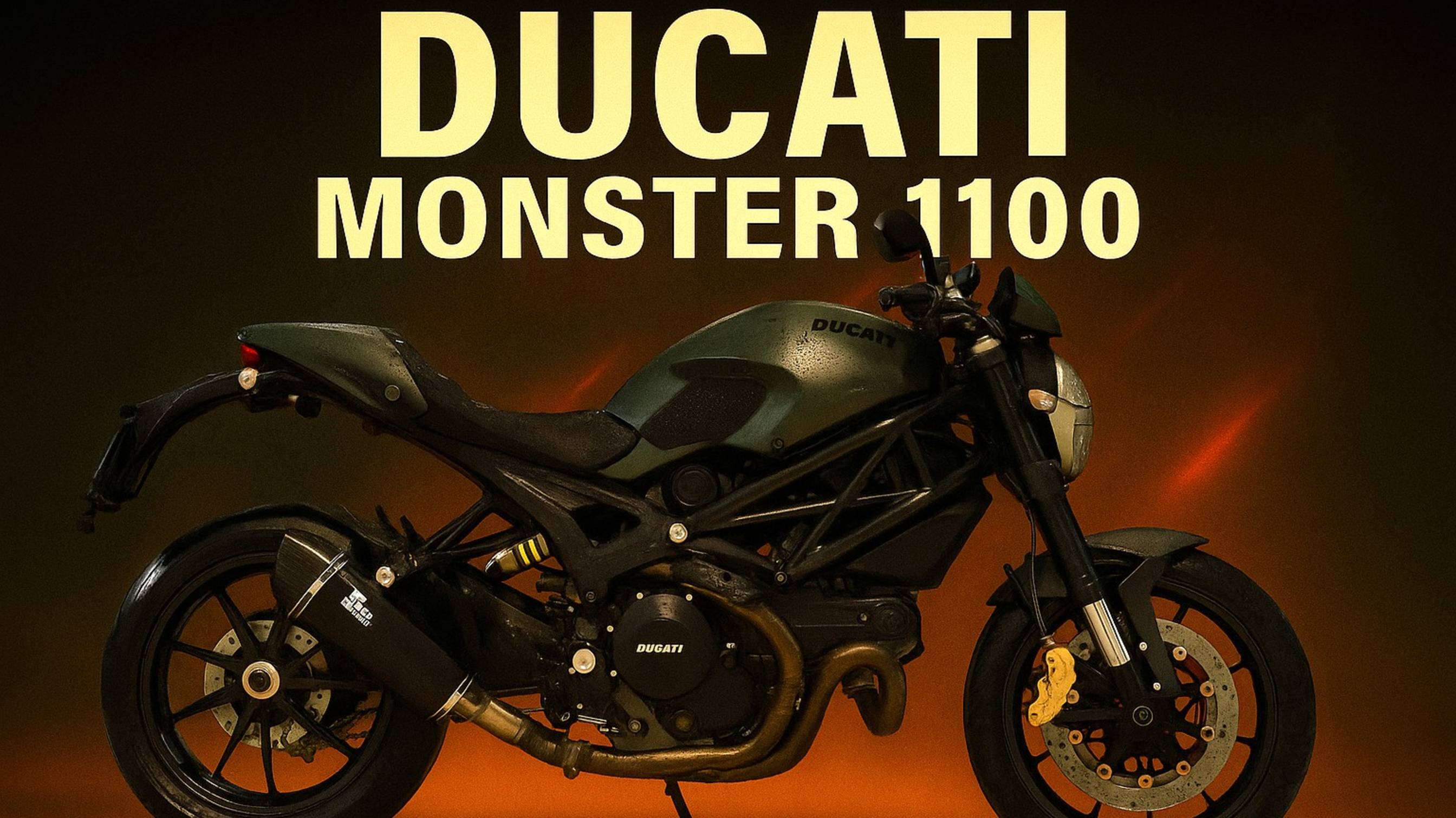 Ducati MONSTER 1100 - ZDMM511JACB064388
