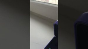 Тамагочи 2