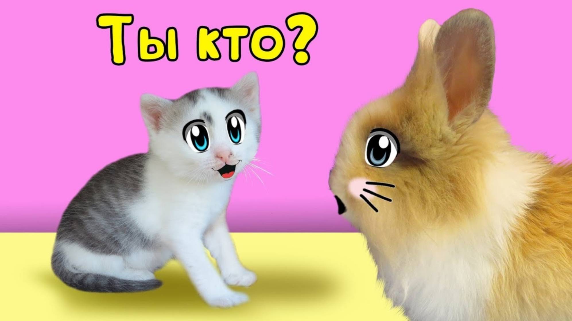 МАЛЮТКА КОТЕНОК и КРОЛИК БАФФИ знакомство ! КОТ МАЛЫШ и КОШЕЧКА МУРЗЯ А ну-ка Давай-ка
