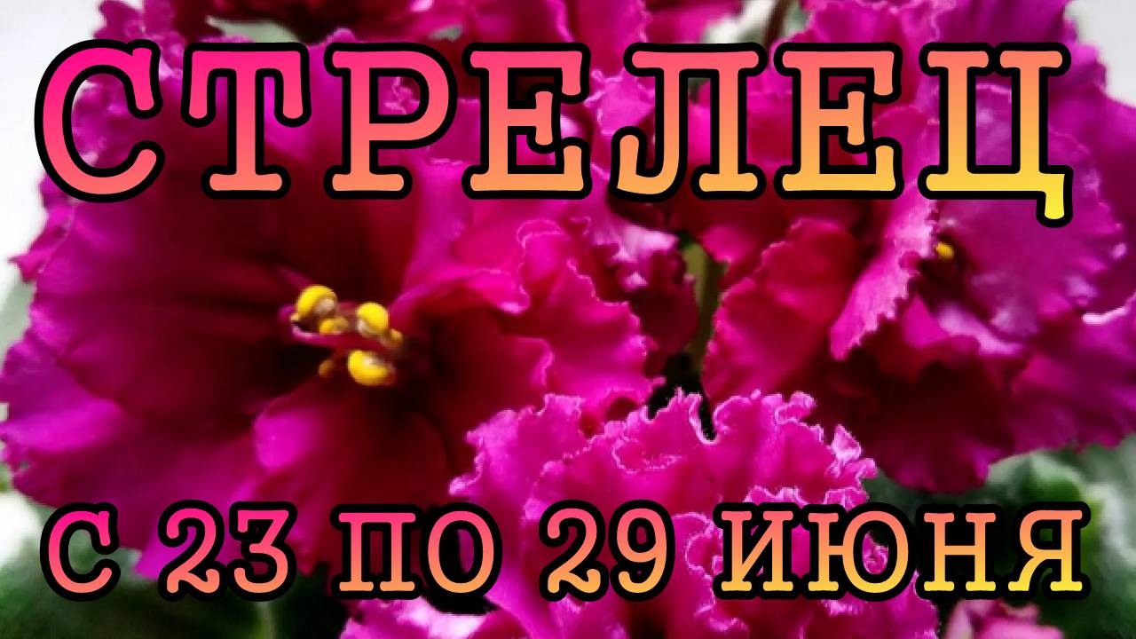 СТРЕЛЕЦ таро прогноз на неделю с 23 по 29 ИЮНЯ 2025 года.