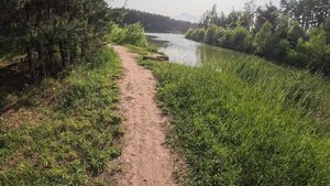 Прогулка по лесу и озеру Лебяжье на велосипеде Gopro 4k